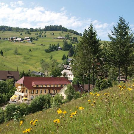 Gruener Baum Naturparkhotel & Schwarzwald-Restaurant 토트나우 외부 사진