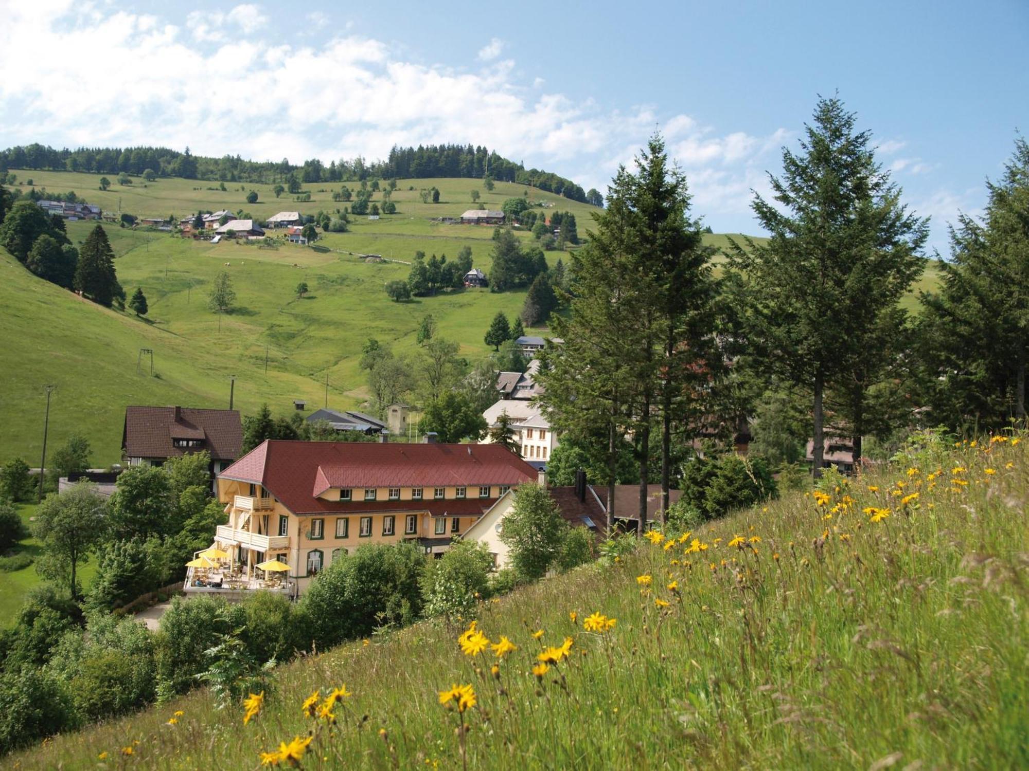 Gruener Baum Naturparkhotel & Schwarzwald-Restaurant 토트나우 외부 사진