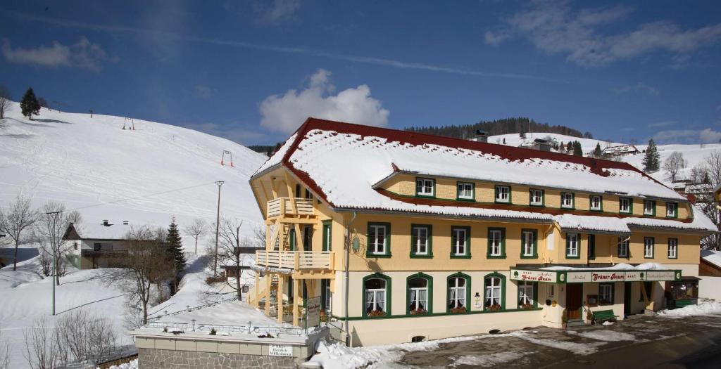 Gruener Baum Naturparkhotel & Schwarzwald-Restaurant 토트나우 외부 사진