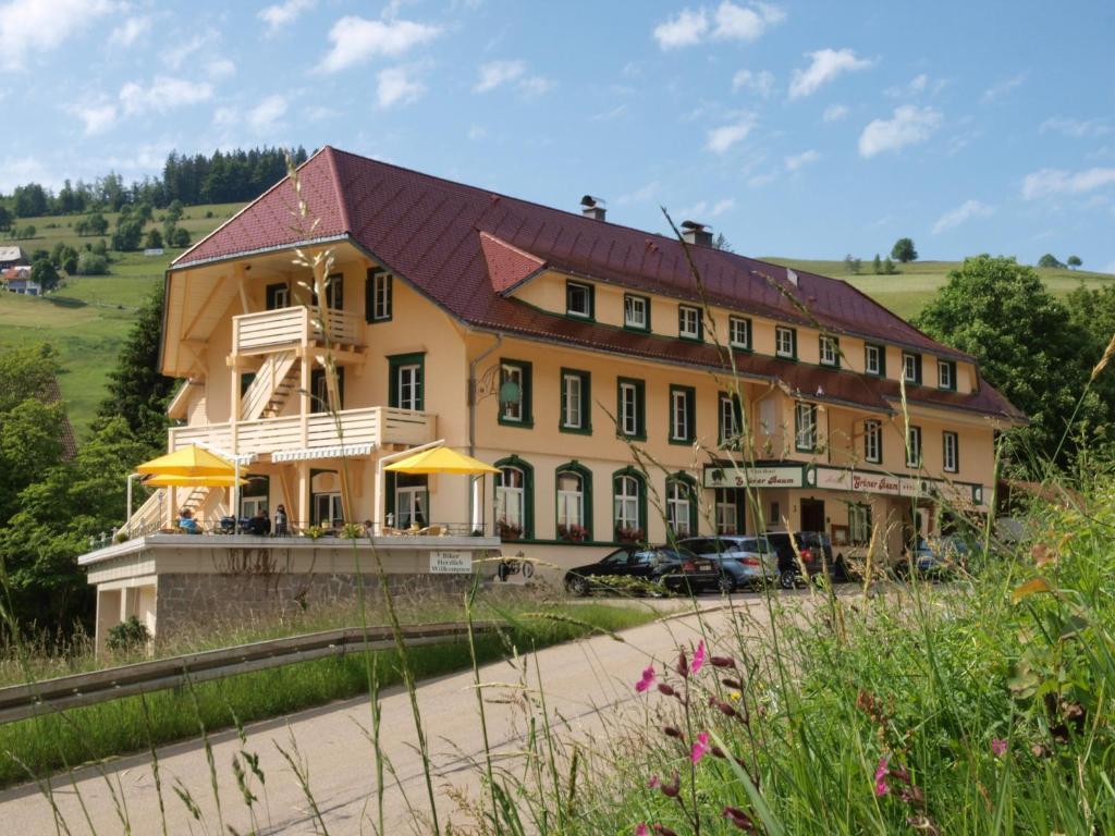 Gruener Baum Naturparkhotel & Schwarzwald-Restaurant 토트나우 외부 사진